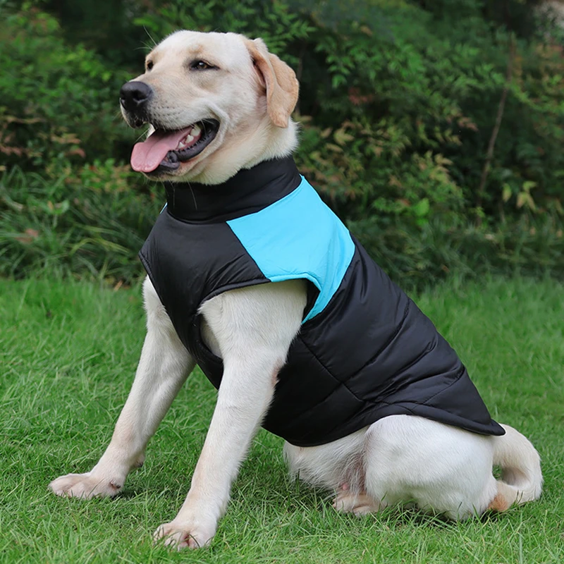 Waterproof Winter Dog Jacket – Warm, insulated, and windproof coat for dogs, perfect for cold weather protection and outdoor adventures.